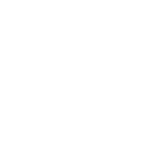 Goodmen logo